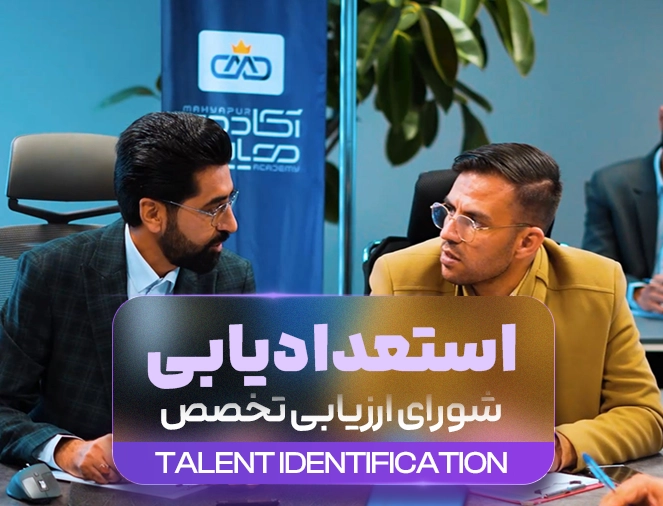 کمیسیون بررسی حیطه استادی